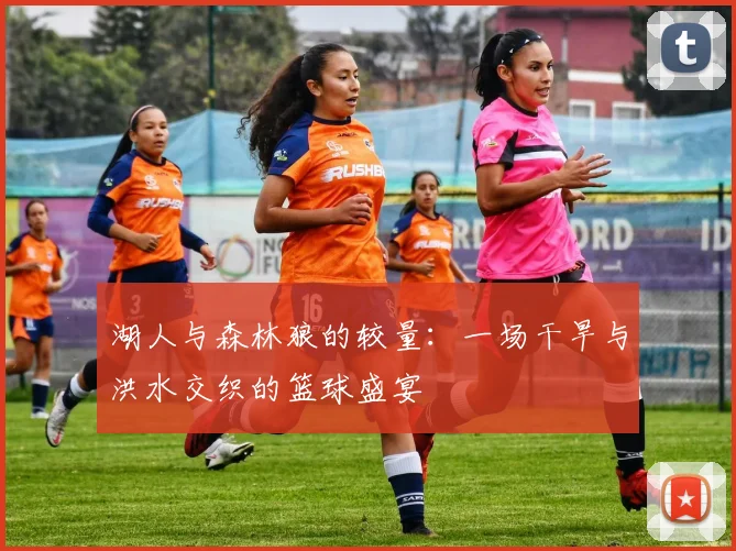 湖人与森林狼的较量：一场干旱与洪水交织的篮球盛宴