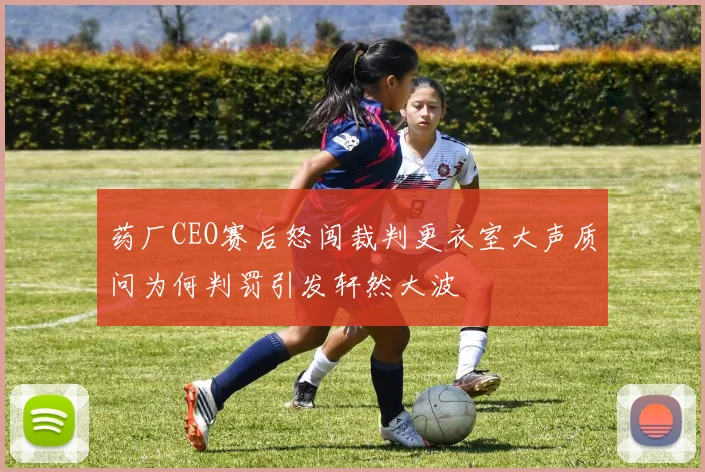 药厂CEO赛后怒闯裁判更衣室大声质问为何判罚引发轩然大波