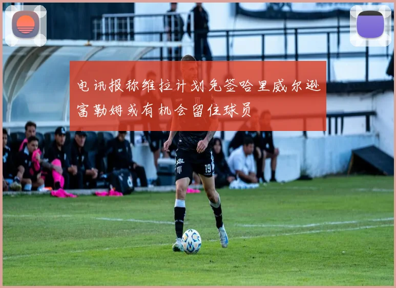 电讯报称维拉计划免签哈里威尔逊富勒姆或有机会留住球员