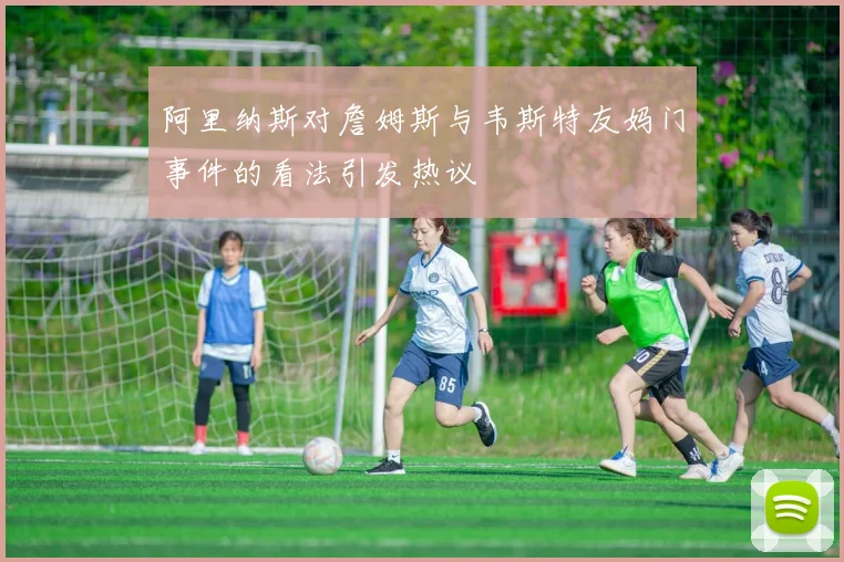 阿里纳斯对詹姆斯与韦斯特友妈门事件的看法引发热议