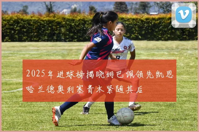 2025年进球榜揭晓姆巴佩领先凯恩哈兰德奥利塞青木紧随其后