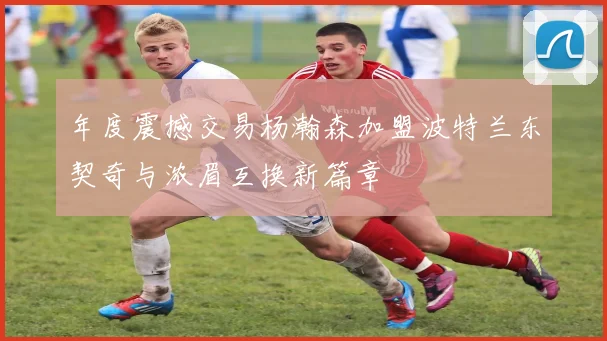 年度震撼交易杨瀚森加盟波特兰东契奇与浓眉互换新篇章